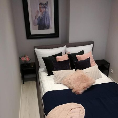 Apartament Przy Parku 拉多姆 外观 照片