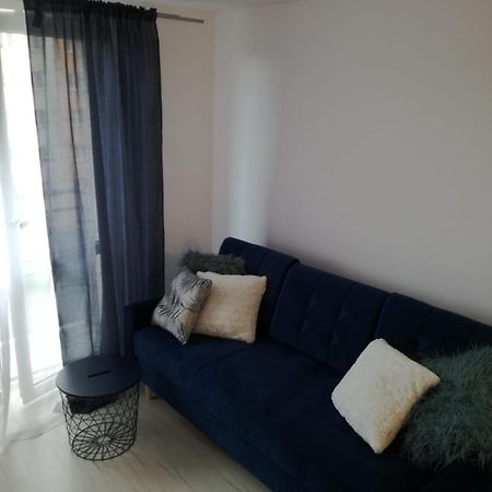 Apartament Przy Parku 拉多姆 外观 照片