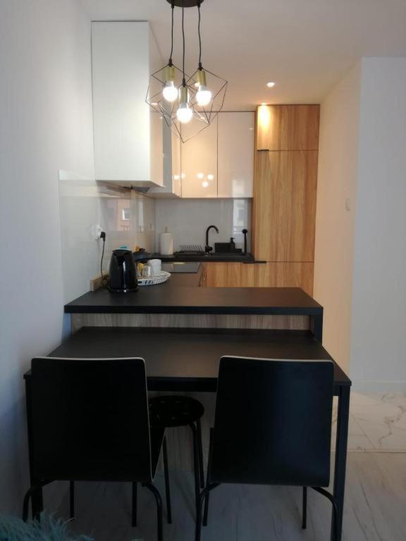 Apartament Przy Parku 拉多姆 外观 照片