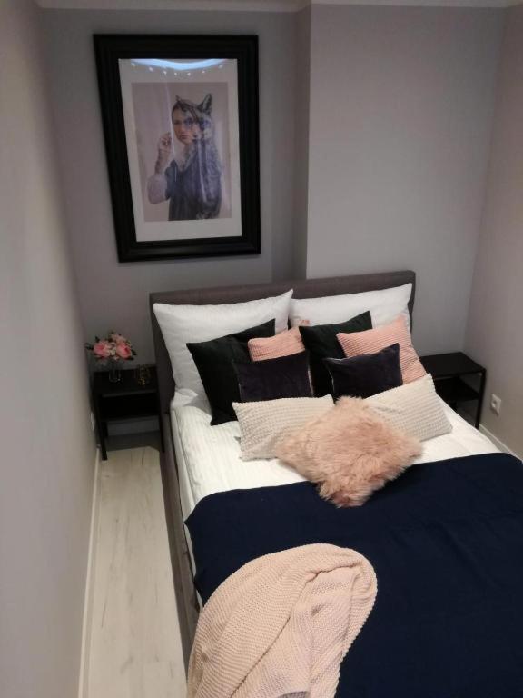 Apartament Przy Parku 拉多姆 外观 照片